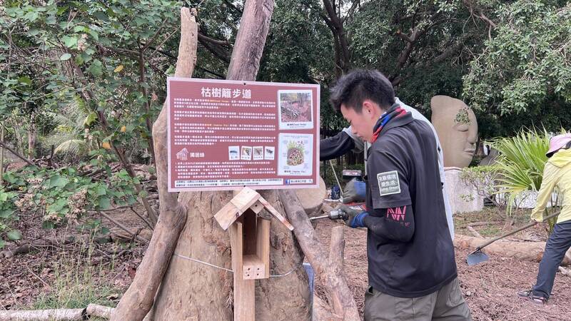 獨居蜂旅館「滿房」 台南虎頭埤枯樹籬步道復育見成效
