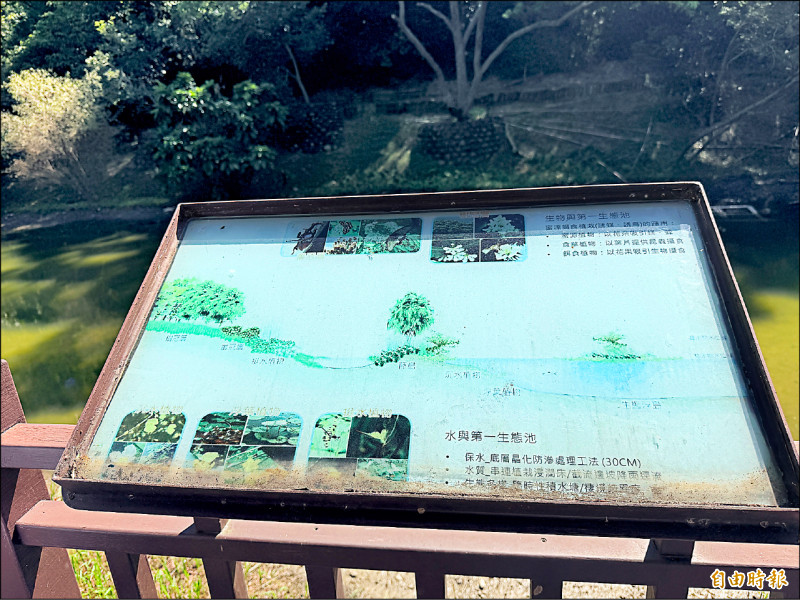 路凹陷指標舊 竹市青青草原如破敗「時空膠囊」