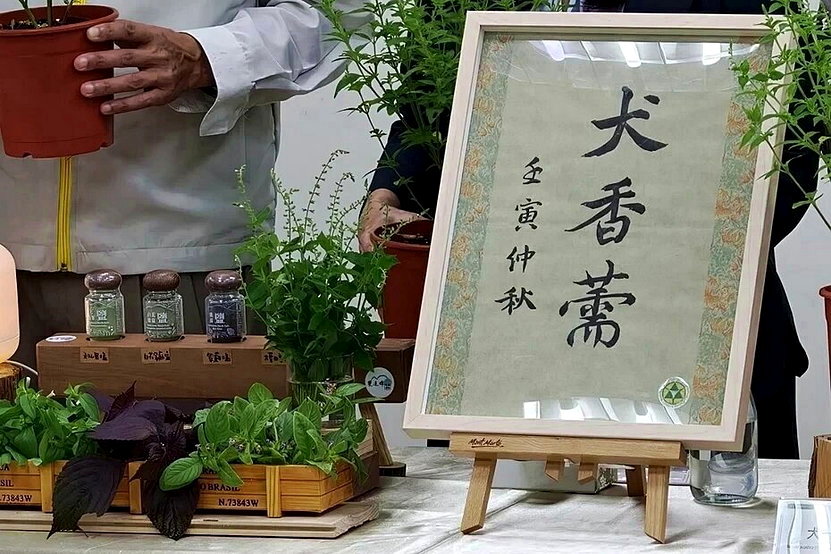 保育與生計也能雙贏？宜蘭雙連埤靠友善契作「痱子草」找到解方 - 倡議家