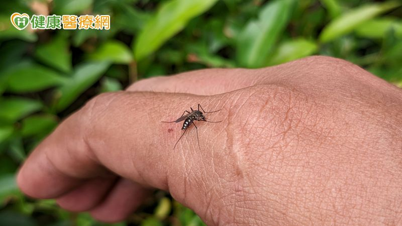 彰化出現本土登革熱！30多歲男無出國史 「發燒未改善」二度就醫確診