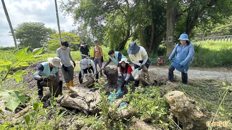 營造人與諸羅樹蛙共融棲地  台南永康三崁店手作步道