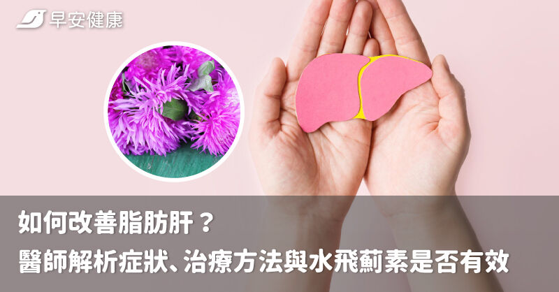 如何改善脂肪肝？醫師解析症狀、治療方法與水飛薊素是否有效