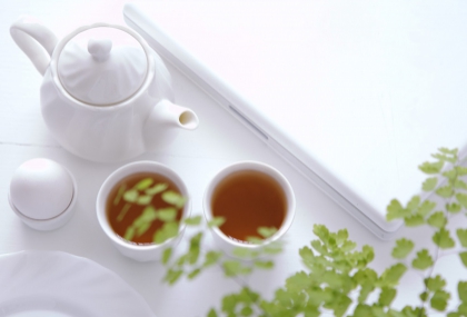 喝茶也要看節氣、體質！資深茶人教你四季選茶、看茶湯泡好茶，從品茶練習靜心 - 常春月刊