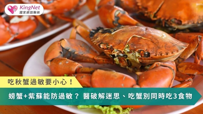吃秋蟹過敏要小心！螃蟹＋紫蘇能解毒防過敏？　醫破解迷思、建議3食物別同時吃
