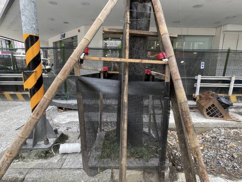 桃園成功路人本街道改造明年2月完工 都發局：原有行道樹全數保留