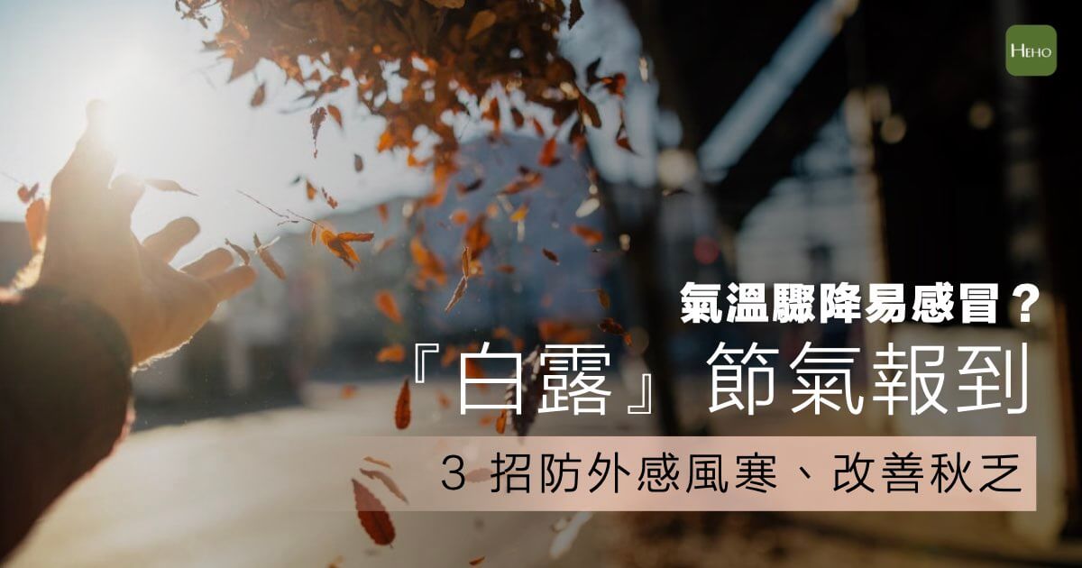 氣溫驟降易感冒！『白露』節氣如何防範秋乏與外感風寒？（附潤肺飲食菜單）