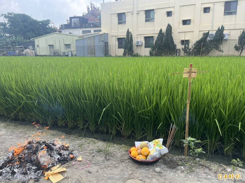 中秋節田間出現「拐杖」！中部獨特習俗揭秘