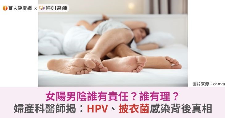 女陽男陰誰有責任？誰有理？婦產科醫揭：HPV、披衣菌感染背後真相