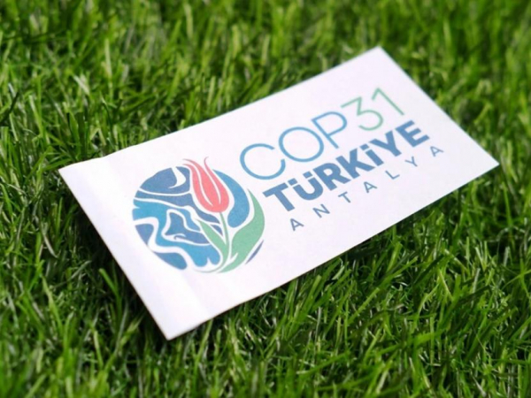 COP31為何把教育列為主題日？企業年底盤點永續成果，這3件事不能漏 - ESG永續台灣