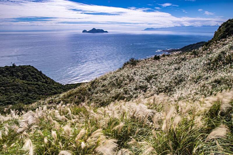 草嶺古道銀白芒浪來了！10/31登場推2條小旅行