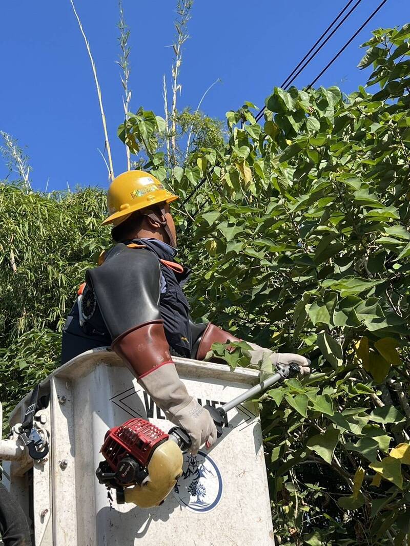 薔琵颱風逼近  台電新營區處盤點設備、修剪樹木