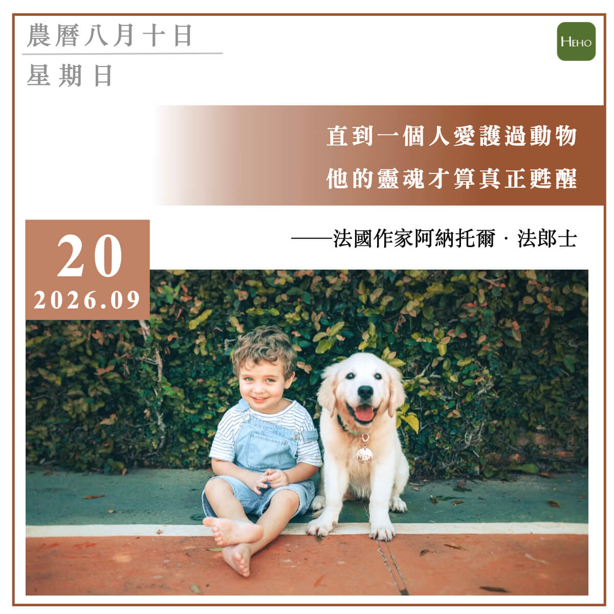健康日曆｜直到一個人愛護過動物，他的靈魂才算真正甦醒（阿納托爾·法郎士）