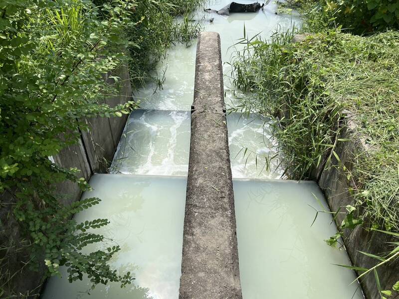 高雄舊鐵橋濕地驚現「牛奶河」 環保局追查疑上游民生廢水釀禍