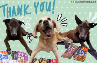 【感謝愛心民眾💖✨捐贈犬食餐盒】