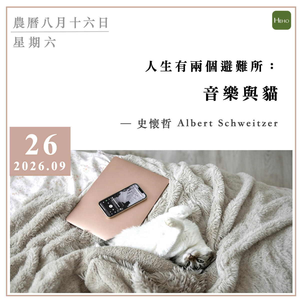 健康日曆｜人生有兩個避難所：音樂與貓（Albert Schweitzer）