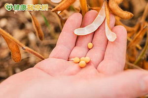 非基改一定比較健康？營養師解析基改食品安全性與常見迷思