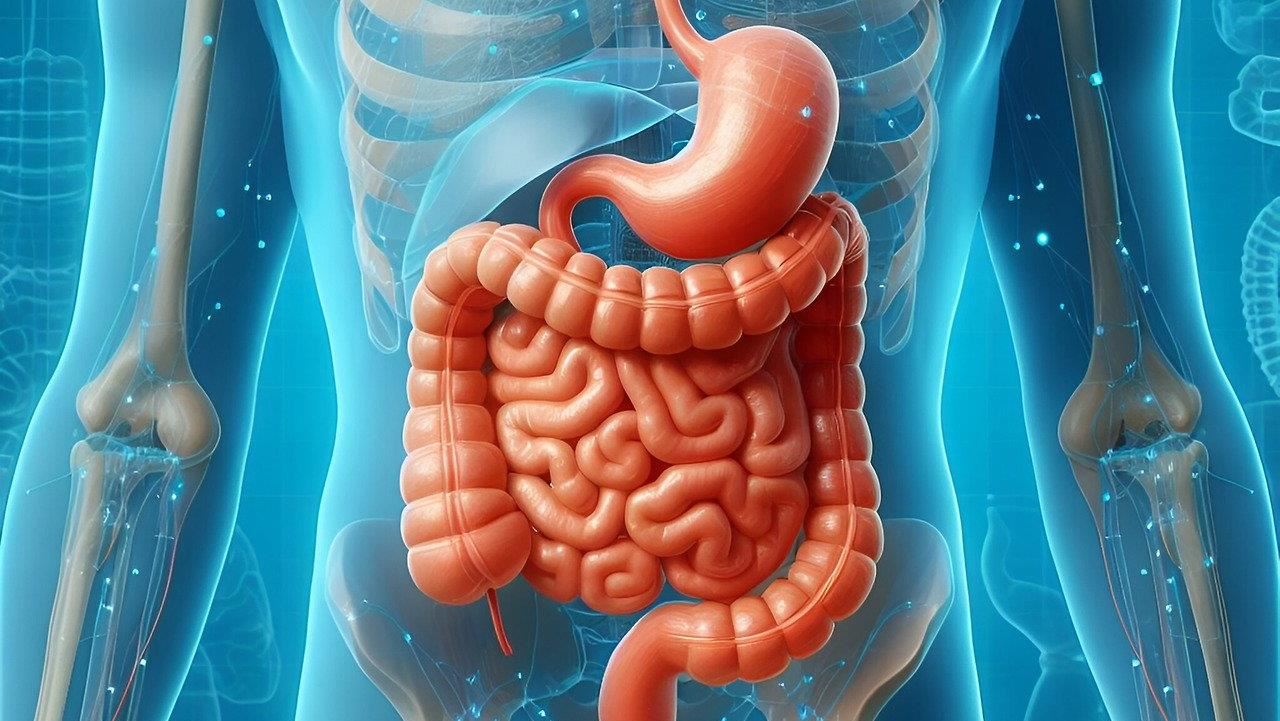 每天排便≠腸道健康！營養師揭「5警訊」恐是大腸癌：大便變細小心