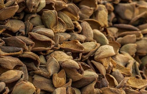 杏仁副產物也能上餐桌！外果殼最高含近6成膳食纖維 從乳牛飼料變身高纖新食材