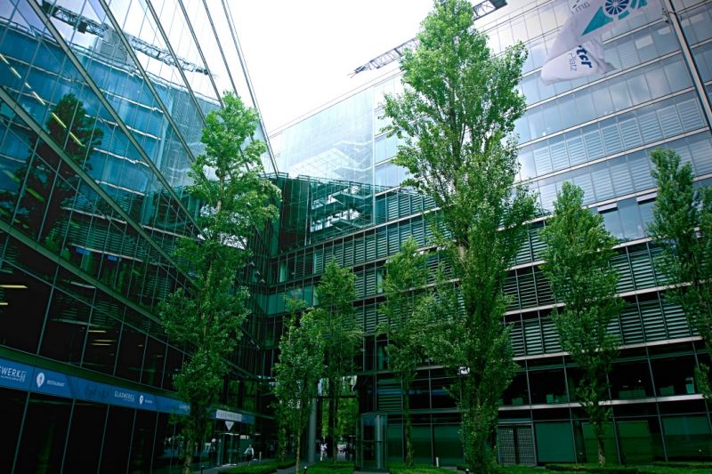 不只是減碳！下一個十年關鍵字「自然正向」，企業該如何證明真的有貢獻？ - ESG遠見