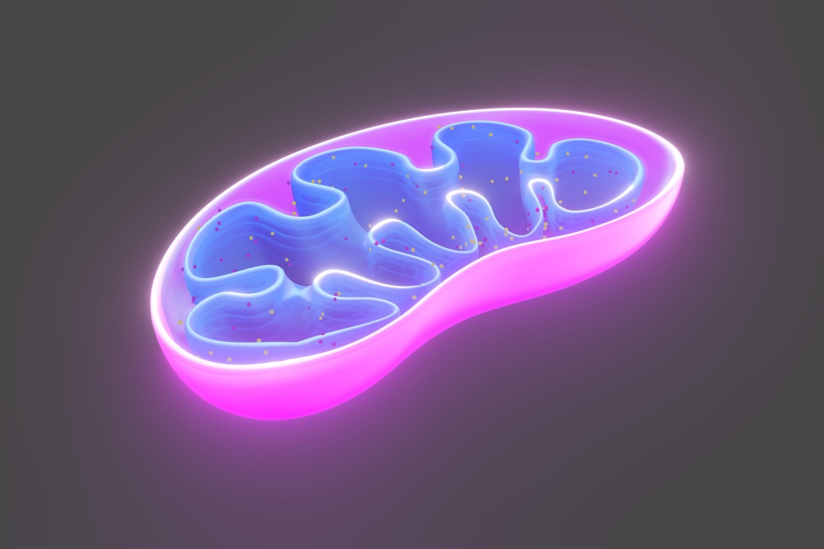 最新研究打破舊思維：過量 RNA 恐成粒線體剋星，直接削弱能量供應 - TechNews 科技新報