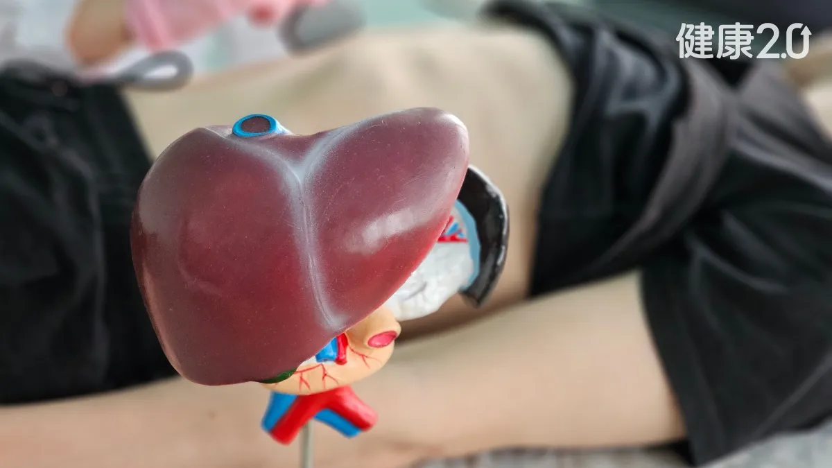醫療焦點健檢沒紅字竟肝硬化？醫點名這類人風險高：減重可逆轉