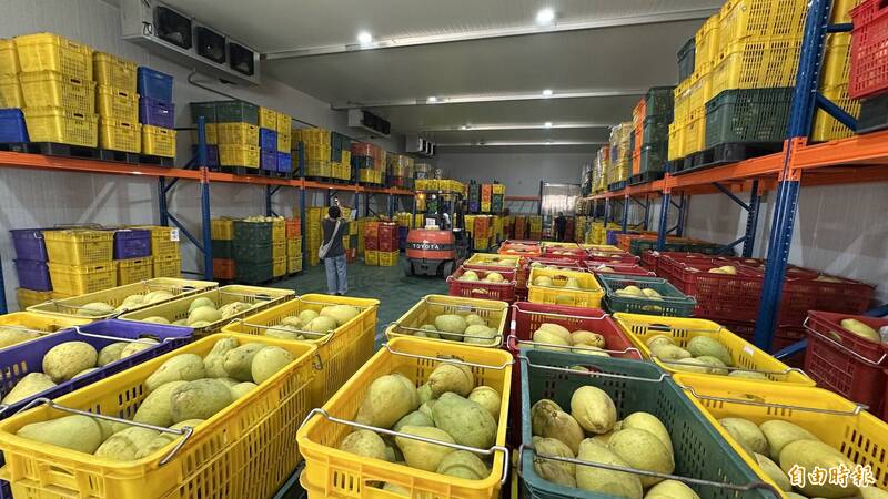 農產拚經濟2-1》農會產品熱銷 建醮、普度也成新商機