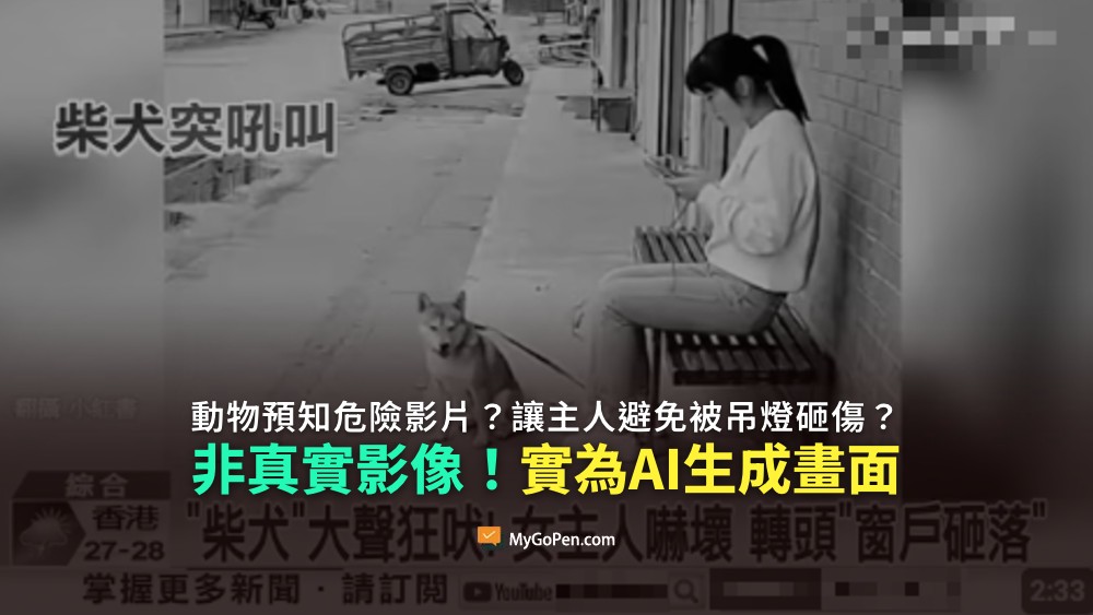 【易誤解】網傳動物預知危險影片？讓主人避免被吊燈砸傷？非真實影像！實為AI生成畫面