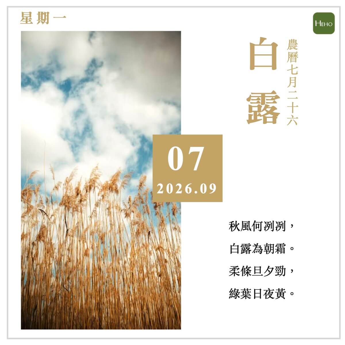 健康日曆｜白露秋意濃，晝夜溫差大記得早晚添衣