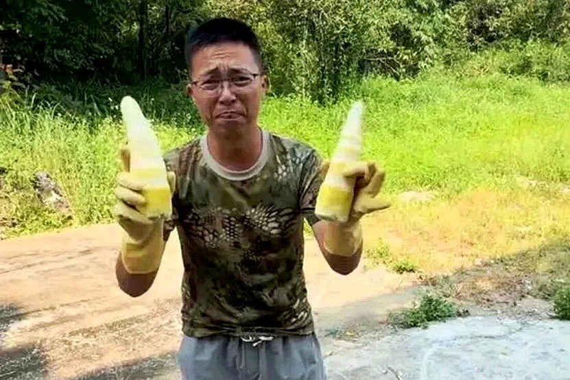 除了白菜 竹筍也不能吃了...中國傳出「用硫磺燻製竹筍」二氧化硫殘留超標20倍 - 倡議家