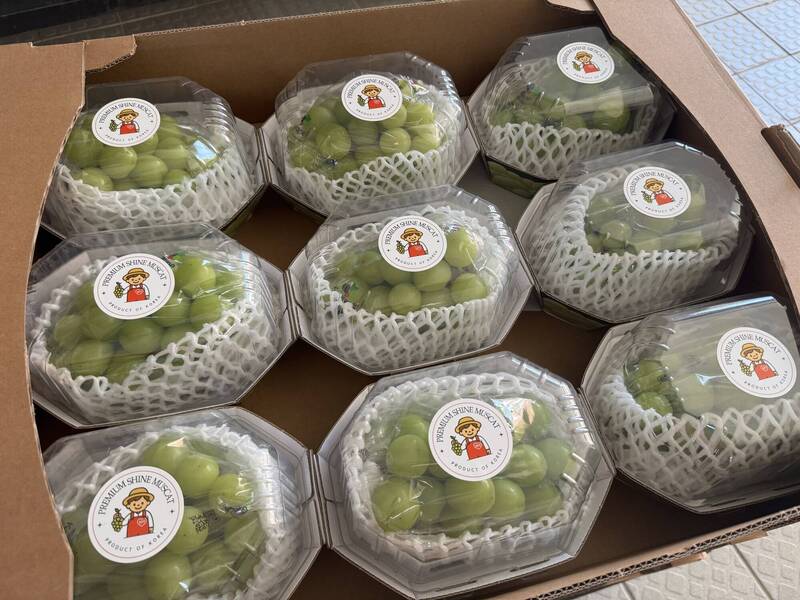 中秋加菜！三灣國中午餐 每人大嗑一整盒「麝香葡萄」