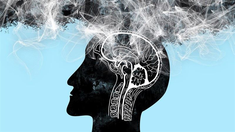 益生菌不只顧腸！研究：降阿茲海默症指標