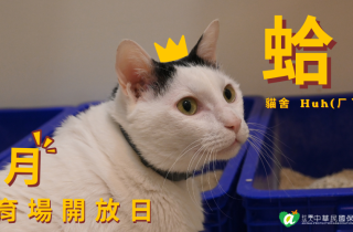 2026年【7月份保育場開放日】