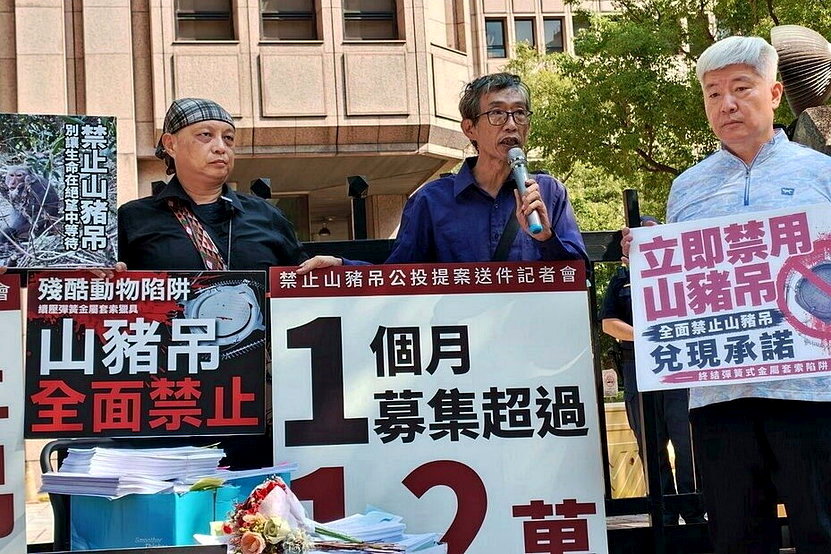 「禁止山豬吊」公投捲土重來！動保團體採雙案並行 呼籲中選會別再駁回 - 倡議家
