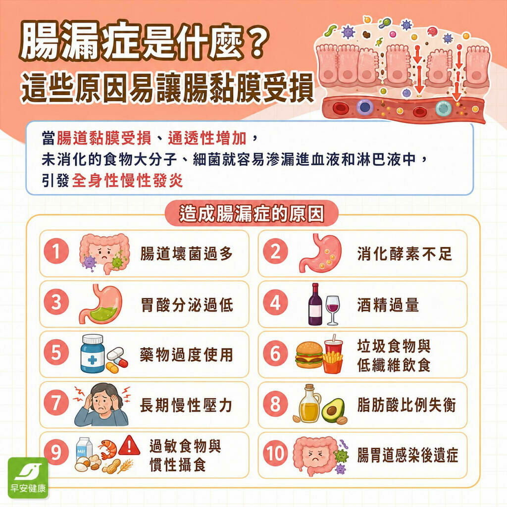 腸漏症是什麼？腸漏症原因、慢性發炎與腸腦軸修復全指南
