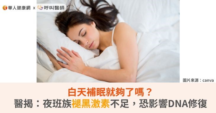白天補眠就夠了嗎？醫揭：夜班族褪黑激素不足，恐影響DNA修復