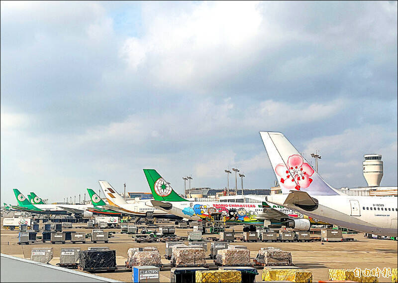 白海豚靠近！ 國籍航空往返日本航班異動一次看