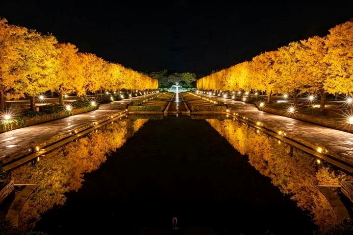 「日本夜景遺產」2026版出爐 再增14處璀璨景點