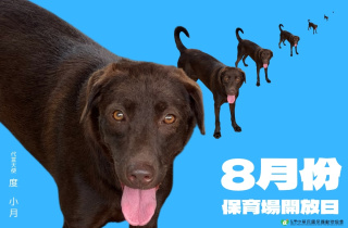 2026年【8月份保育場開放日】