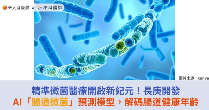 精準微菌醫療開啟新紀元！長庚開發AI「腸道微菌」預測模型，解碼腸道健康年齡