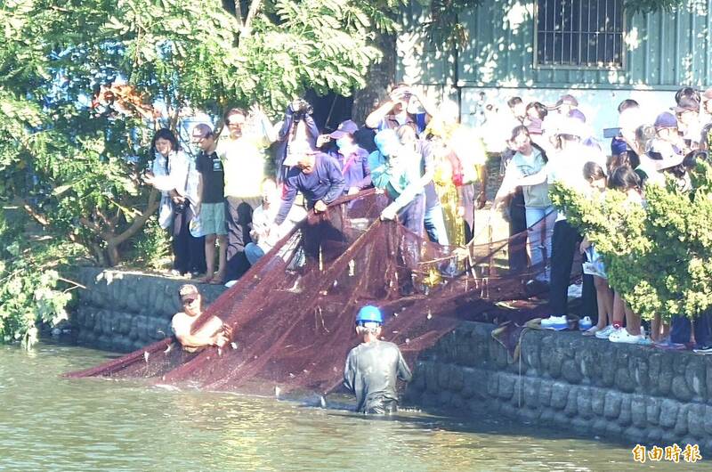 嘉義鹿草涸魚文化季  民眾牽罟捕魚重溫農村記憶