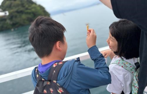 日本伊根搭遊覽船餵海鳥，爸爸忘了自己拿的是360相機