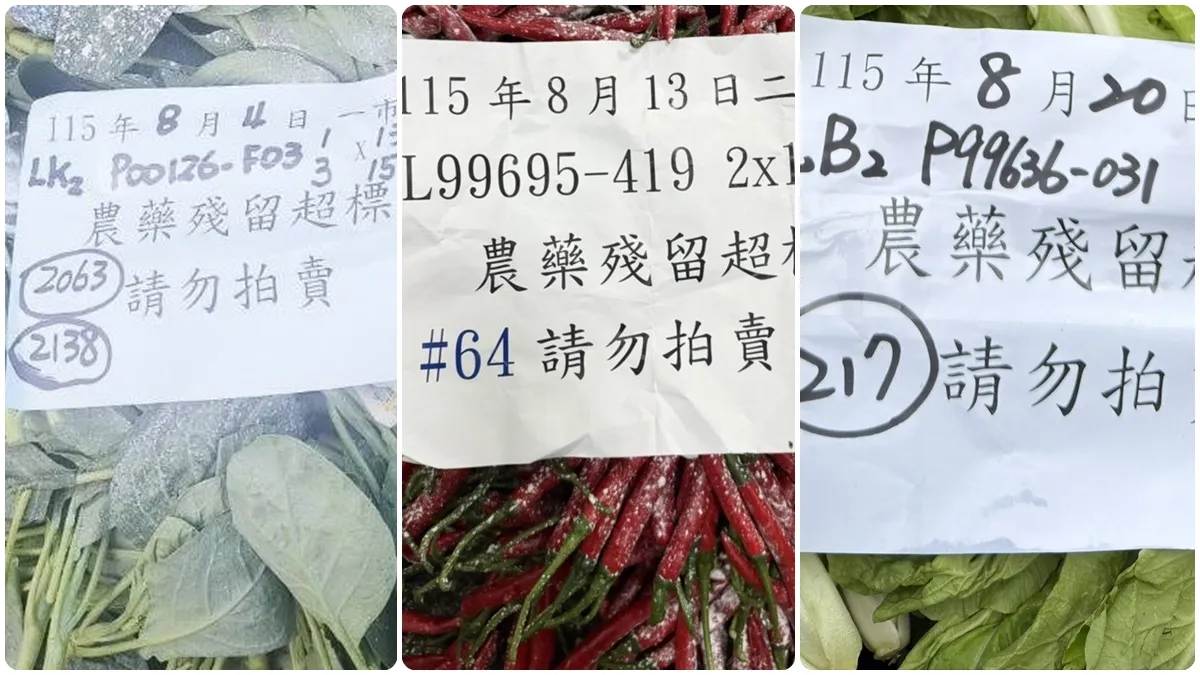 3種常見蔬菜上榜！北市8月批發市場農藥抽驗6459公斤不合格