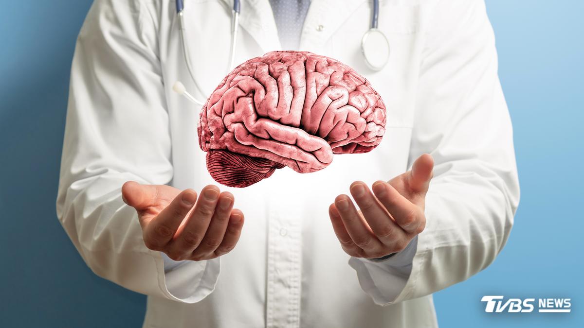 顛覆百年認知！史丹佛揭大腦是「2個器官」 漸凍症研究露曙光 - TVBS新聞網