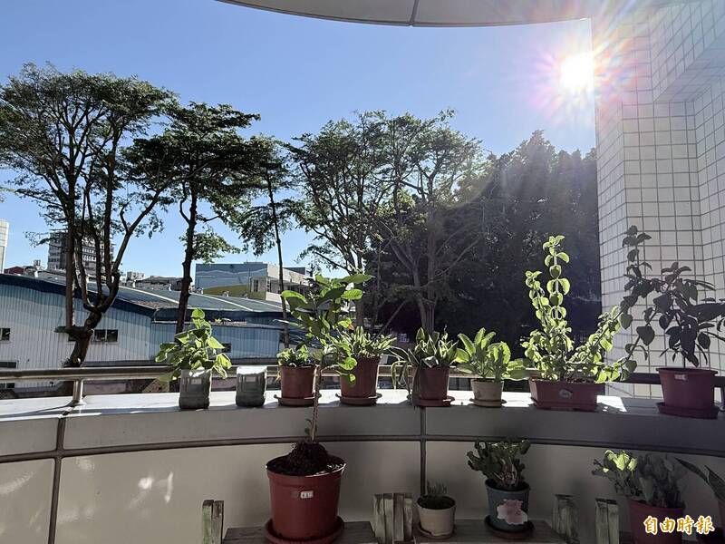 打造市民降溫綠洲！ 北市環保局邀民間場域加入「涼適點」