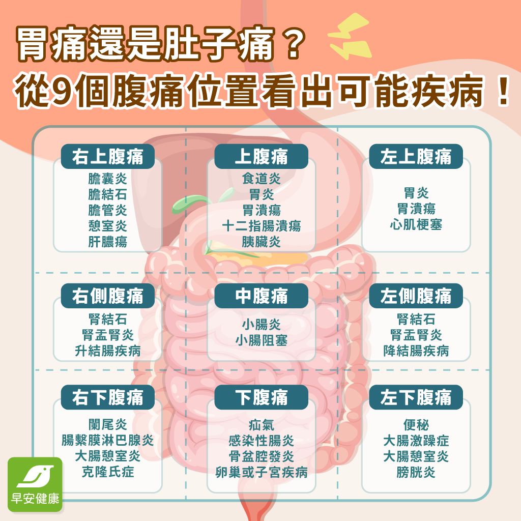 胃痛怎麼辦？從胃痛原因到緩解方法、飲食與就醫警訊懶人包