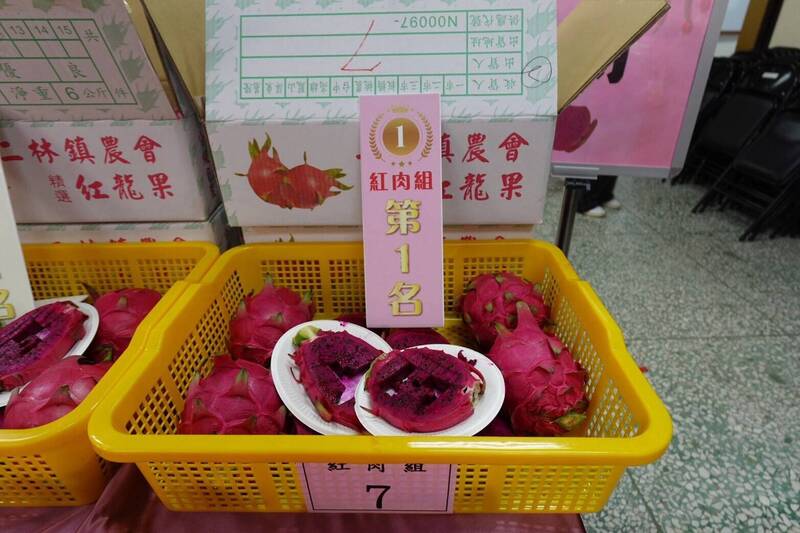種最多、還最強！彰化火龍果評鑑  二林鎮包辦紅肉組冠亞軍