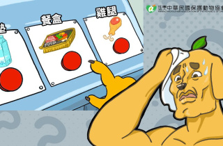 📢【汪汪急召令｜求乾爽、求肉肉、求加菜 ✨】