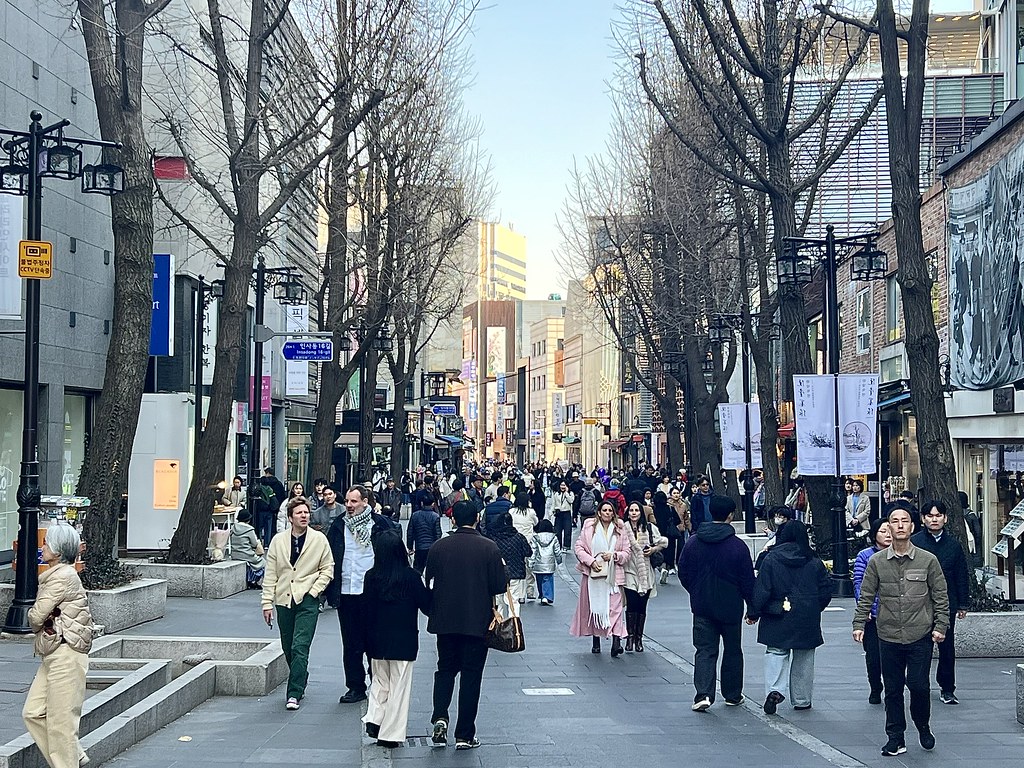 嘉市維新路施工 路幅窄人車爭道