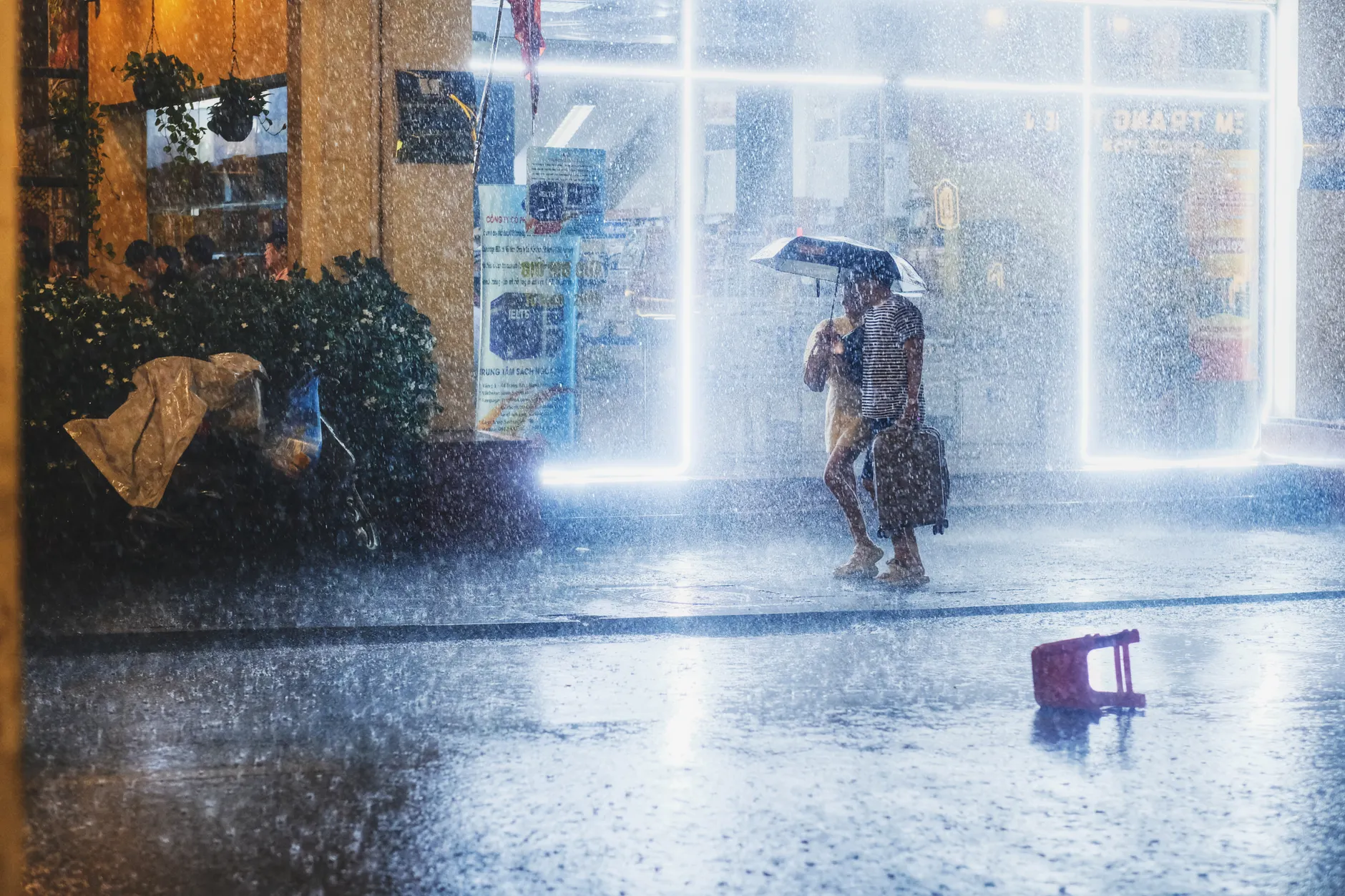 豪雨農損逼近億元！嘉南高屏啟動「全品項救助」 - ESG遠見