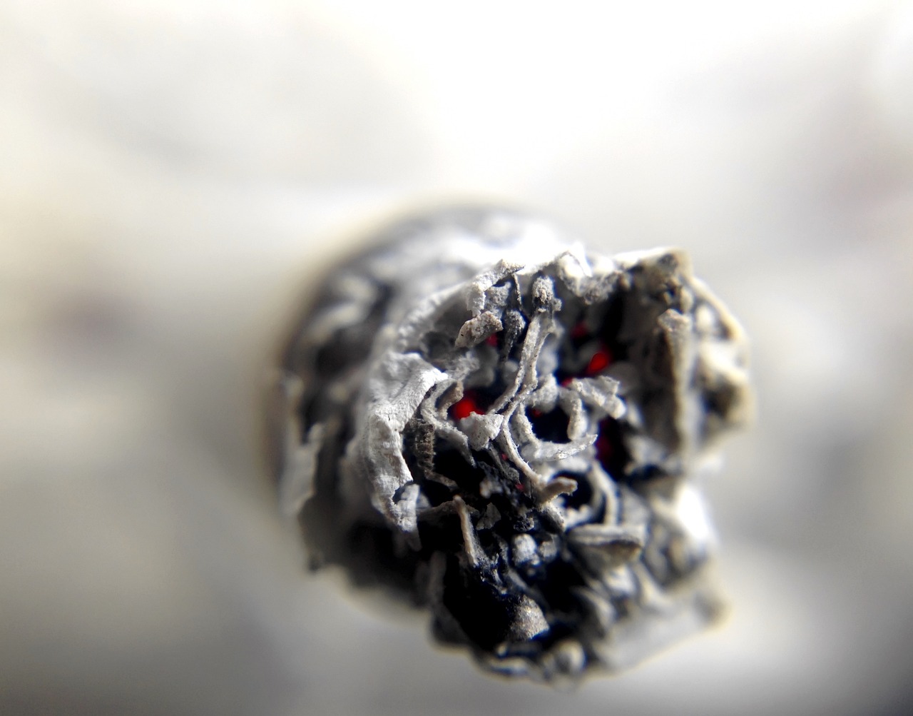 毛利率從50%跌到-50%！矽谷AI新創為何集體逃離OpenAI與Anthropic？